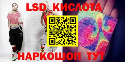 прущие грибы Камышлов