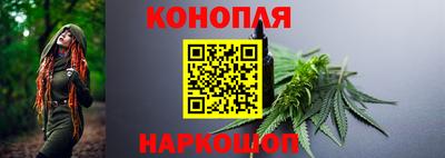 гашик Канаш