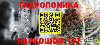 гашик Канаш