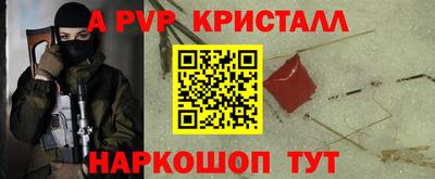 прущие грибы Камышлов